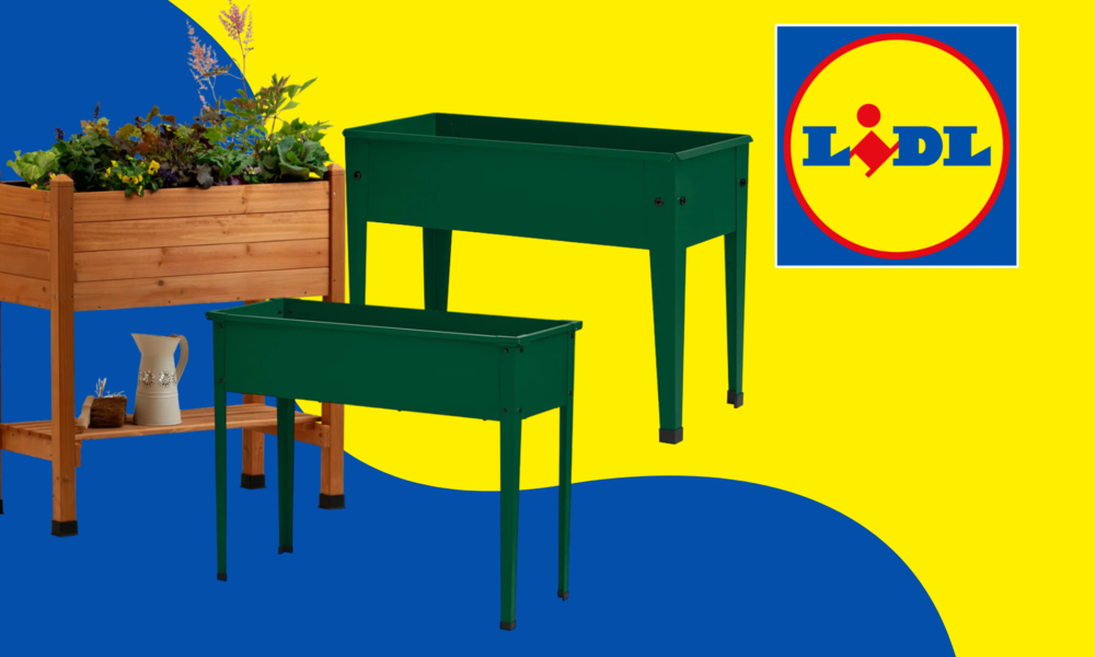 Aufgepasst Bei LIDL bekommst du dein Hochbeet jetzt zum SchnäppchenPreis